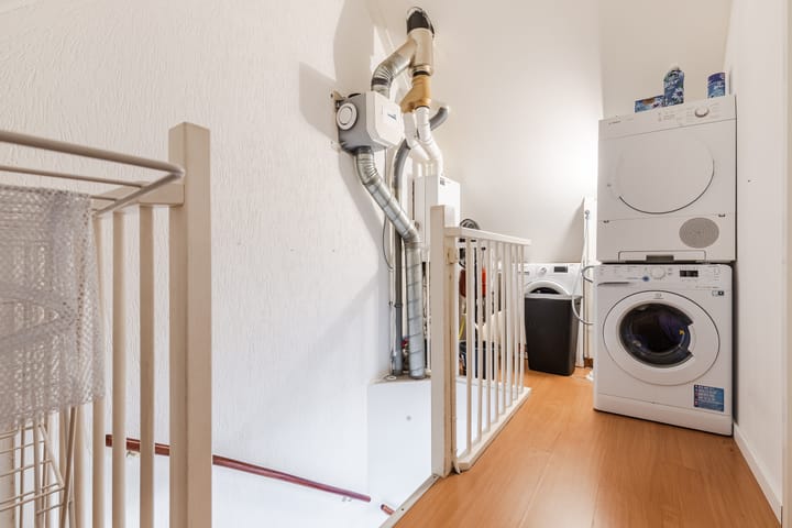 Foto 30 van Grauwe Gans 64