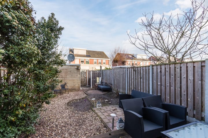 Foto 31 van Grauwe Gans 64