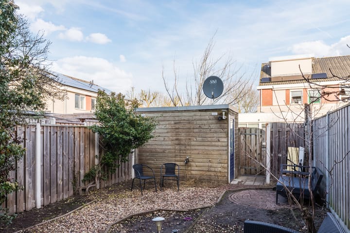 Foto 32 van Grauwe Gans 64