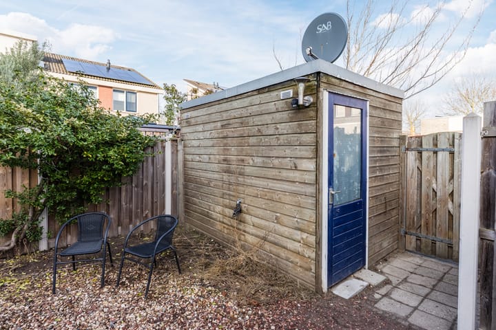 Foto 33 van Grauwe Gans 64