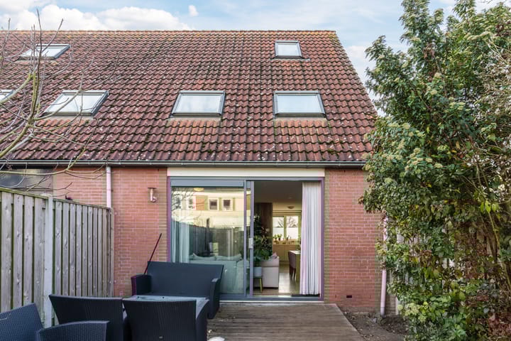 Foto 35 van Grauwe Gans 64