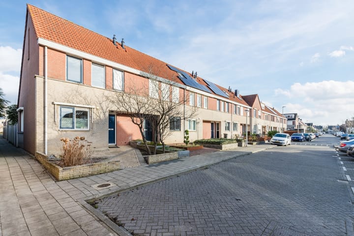 Foto 37 van Grauwe Gans 64