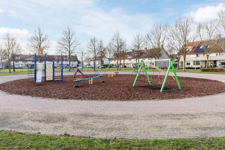 Foto 38 van Grauwe Gans 64