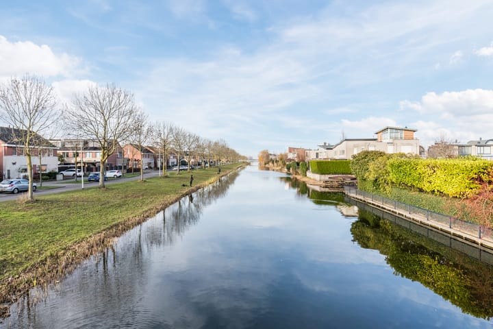 Foto 39 van Grauwe Gans 64