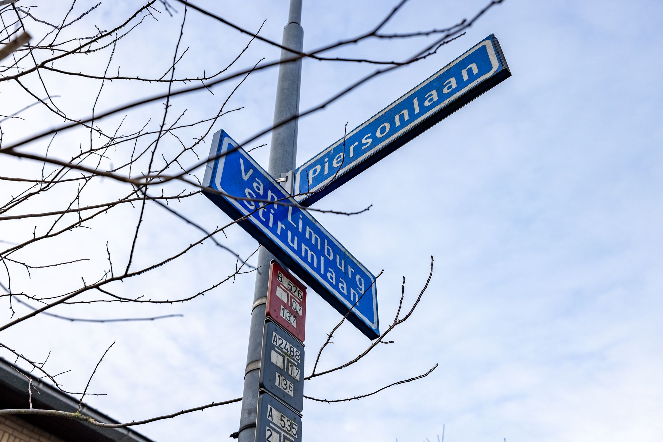 Foto 48 van van Limburg Stirumlaan 60