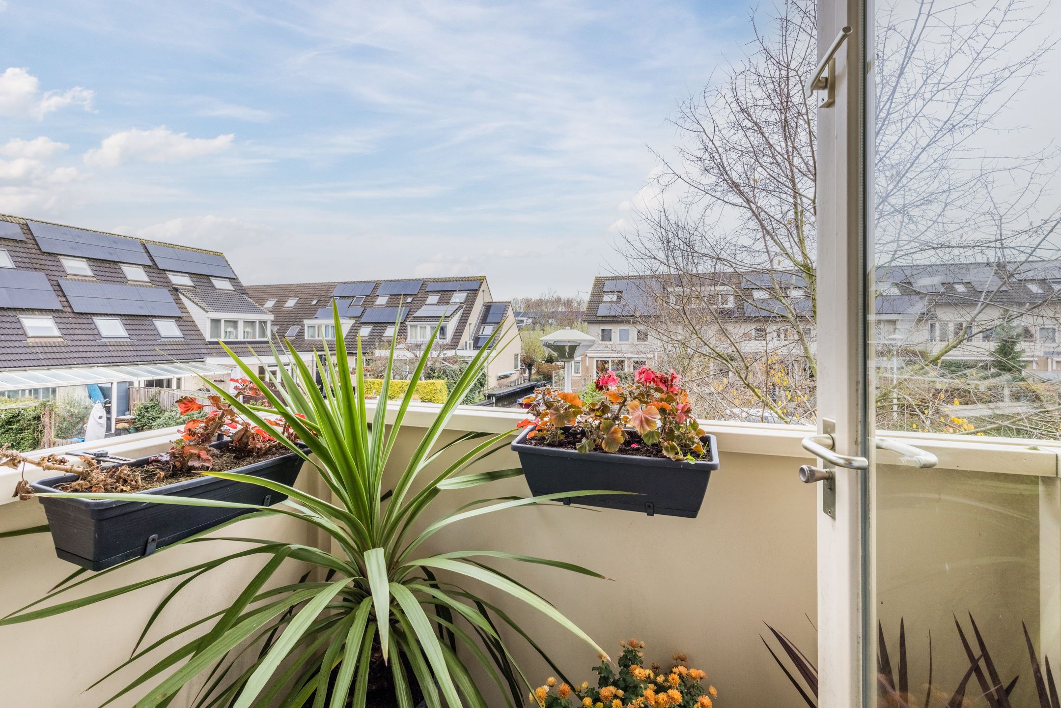 Foto 39 van Haarmos 39