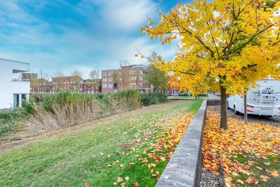 Foto 53 van Leo Ascherhof 17