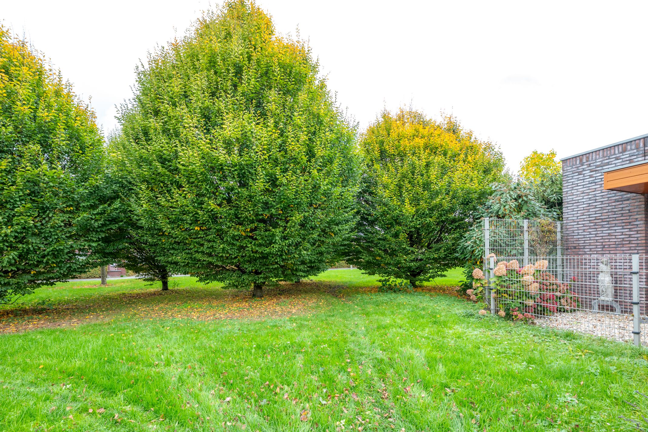 Foto 48 van Leo Ascherhof 17