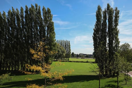 Maasland 38 tertiary image