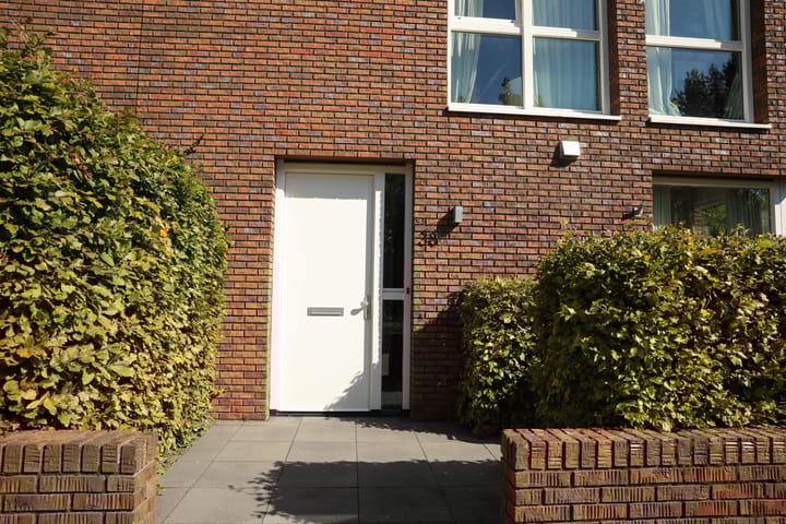 Foto 5 van Maasland 38