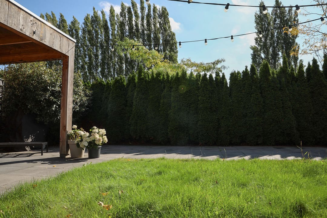 Foto 41 van Maasland 38