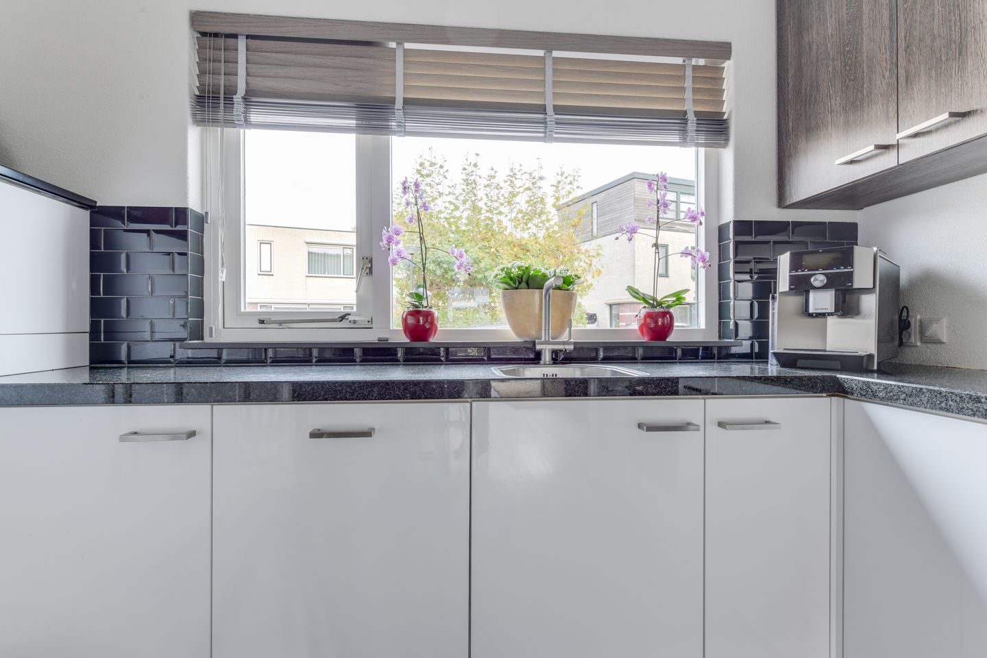 Foto 14 van Anna Clasina op 't Landtplantsoen 128