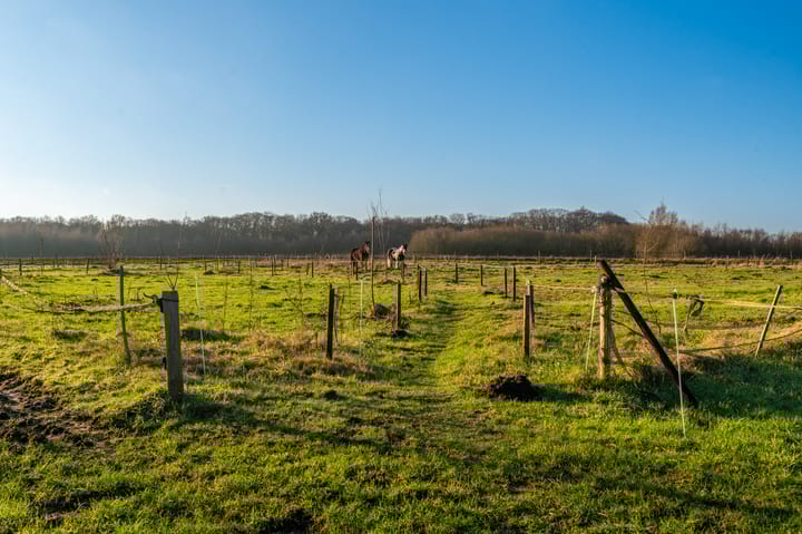 Foto 3 van Weenderstraat 75