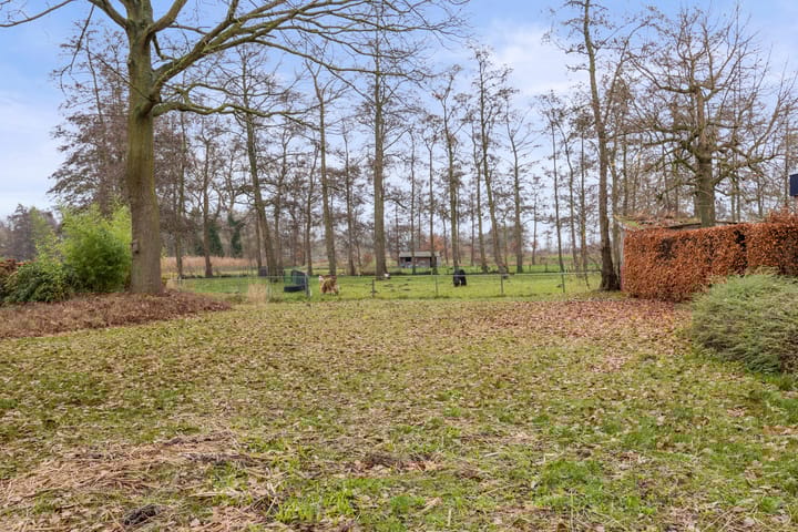 Photo 42 of Schutskooi 7