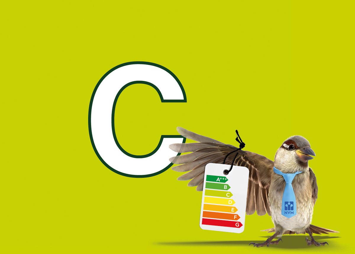 Foto 35 van Schoener 10