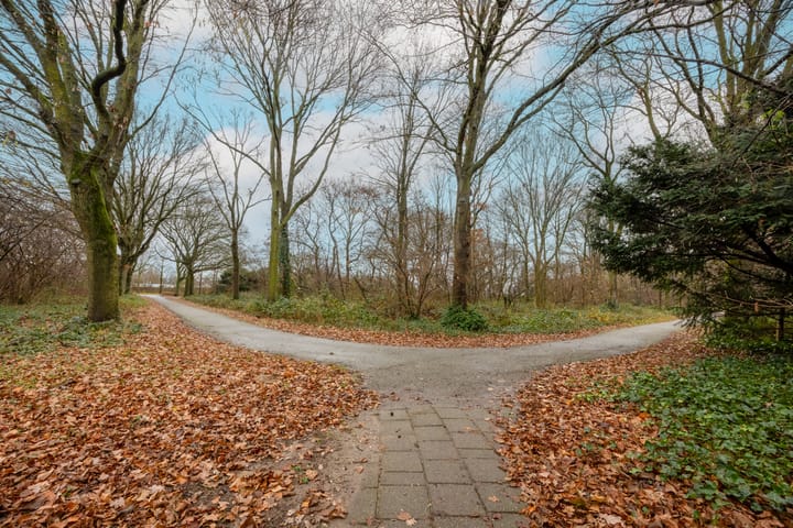 Foto 42 van Sluiskamp 3023