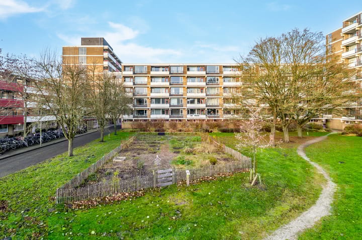 Martin Luther Kinglaan 584