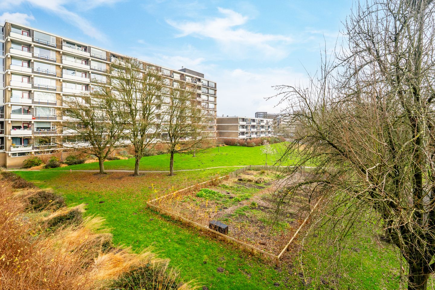 Foto 25 van Martin Luther Kinglaan 584