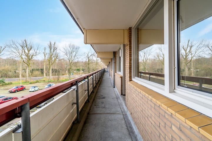 Photo 29 of Martin Luther Kinglaan 584