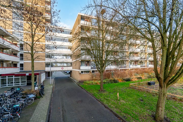 Photo 34 of Martin Luther Kinglaan 584