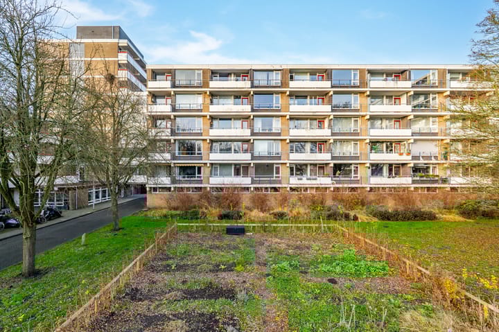 Photo 36 of Martin Luther Kinglaan 584