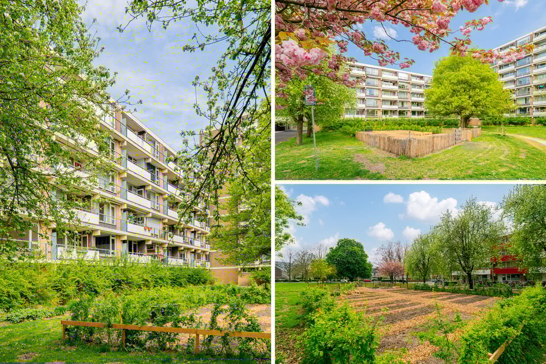 Foto 43 van Martin Luther Kinglaan 584