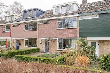 Van Oldenbarneveltstraat thumbnail
