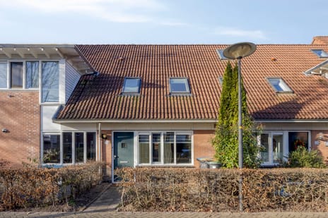 undefined main image