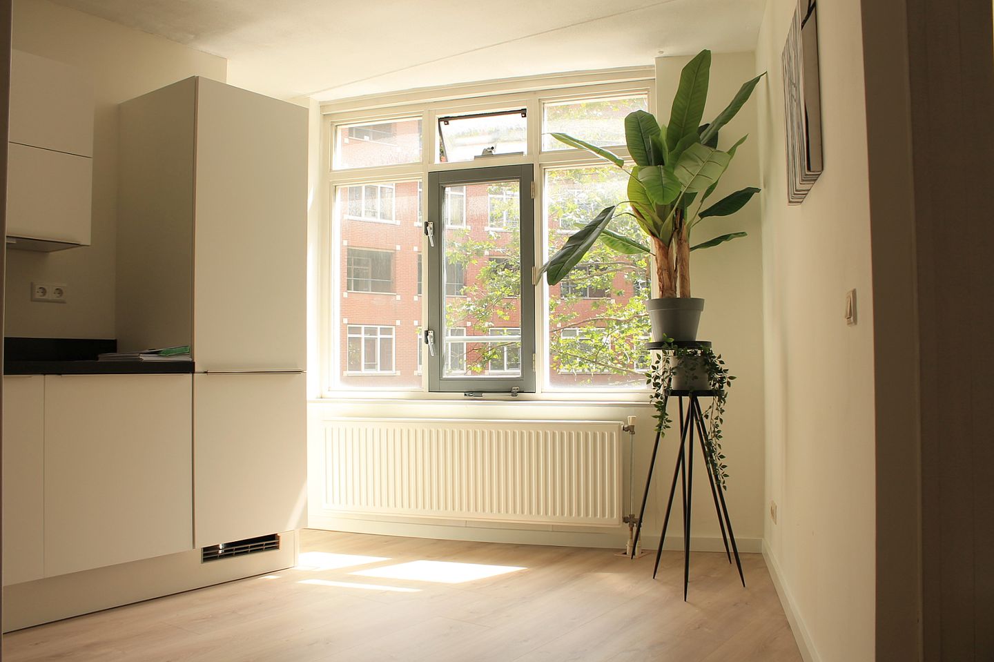 Foto 5 van Muzenplein 124