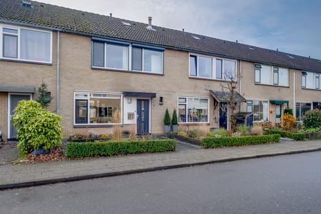 Acerstraat thumbnail