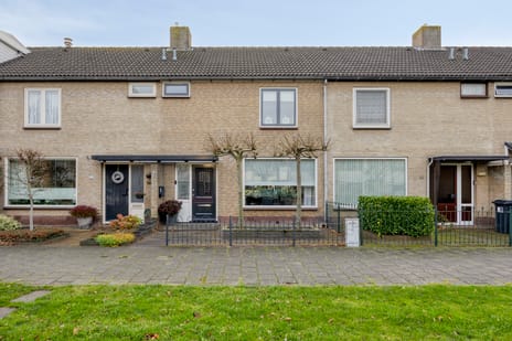 Meeuwenlaan thumbnail