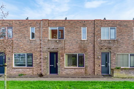 Speerdistel thumbnail