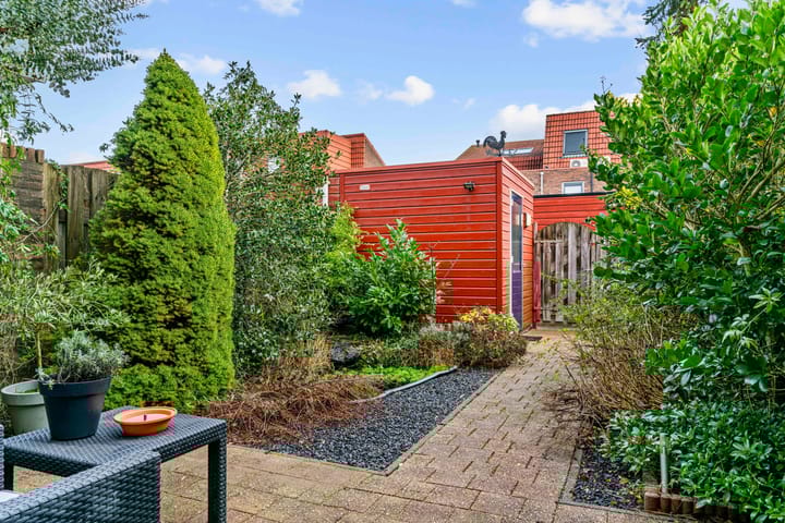 Foto 3 van Speerdistel 4