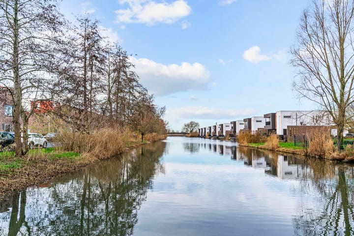 Foto 5 van Speerdistel 4