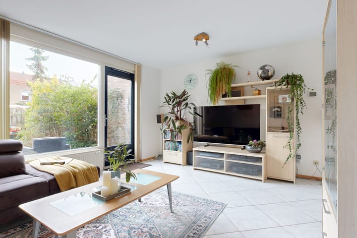 Foto 6 van Speerdistel 4