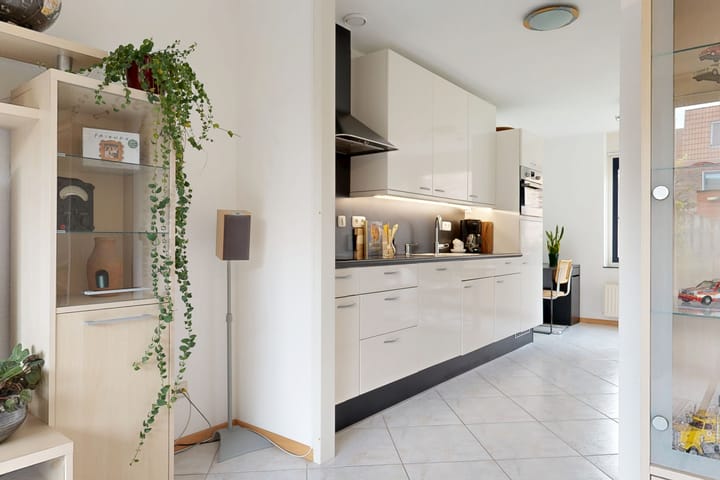 Foto 11 van Speerdistel 4