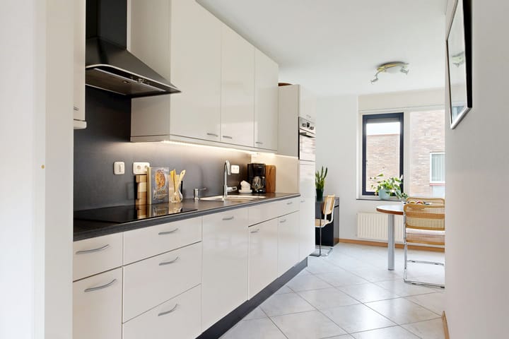 Foto 12 van Speerdistel 4