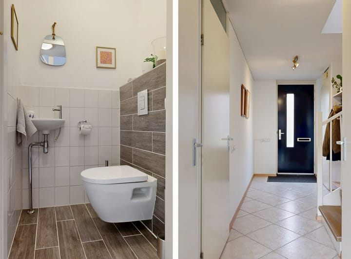 Foto 16 van Speerdistel 4