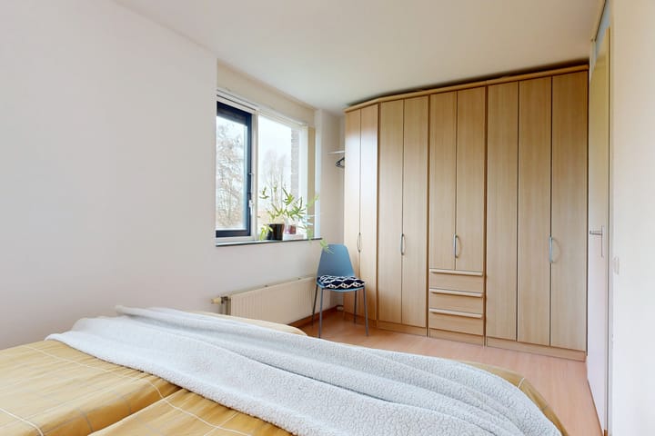 Foto 18 van Speerdistel 4