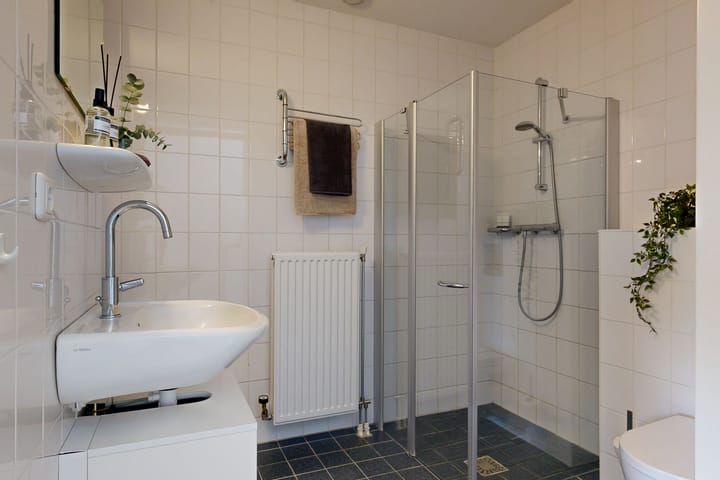 Foto 22 van Speerdistel 4