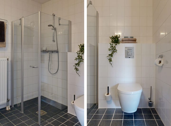 Foto 23 van Speerdistel 4