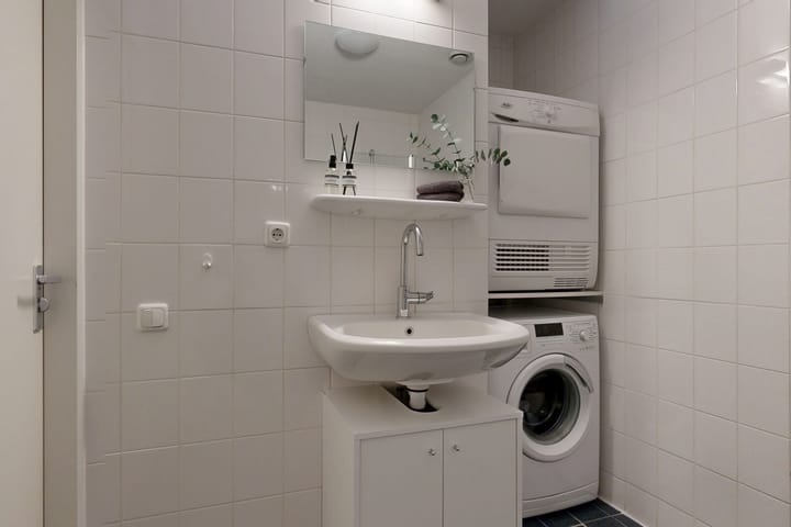 Foto 24 van Speerdistel 4