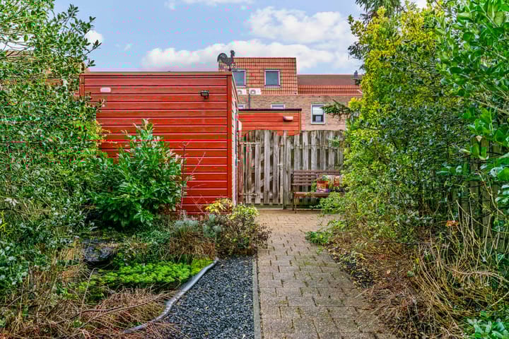 Foto 26 van Speerdistel 4