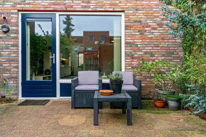 Foto 28 van Speerdistel 4