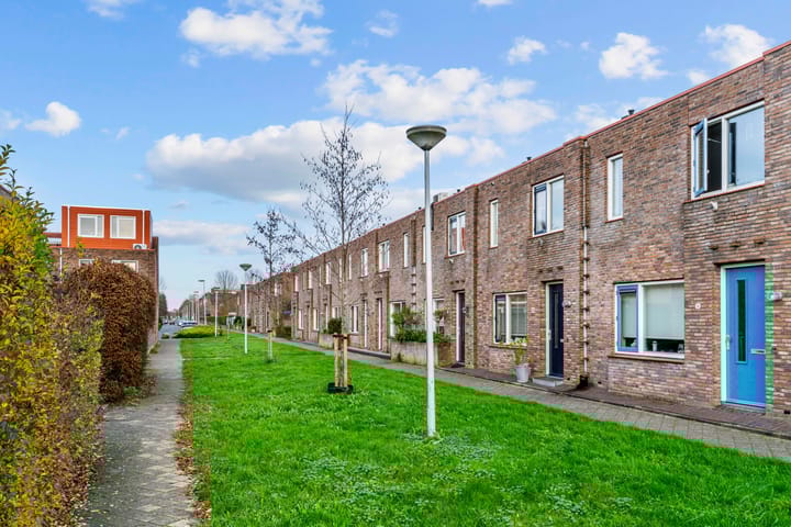 Foto 30 van Speerdistel 4