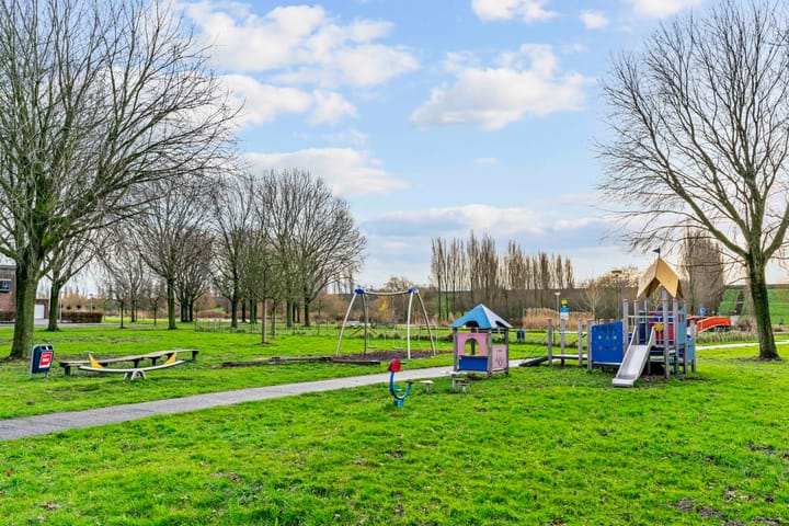 Foto 31 van Speerdistel 4