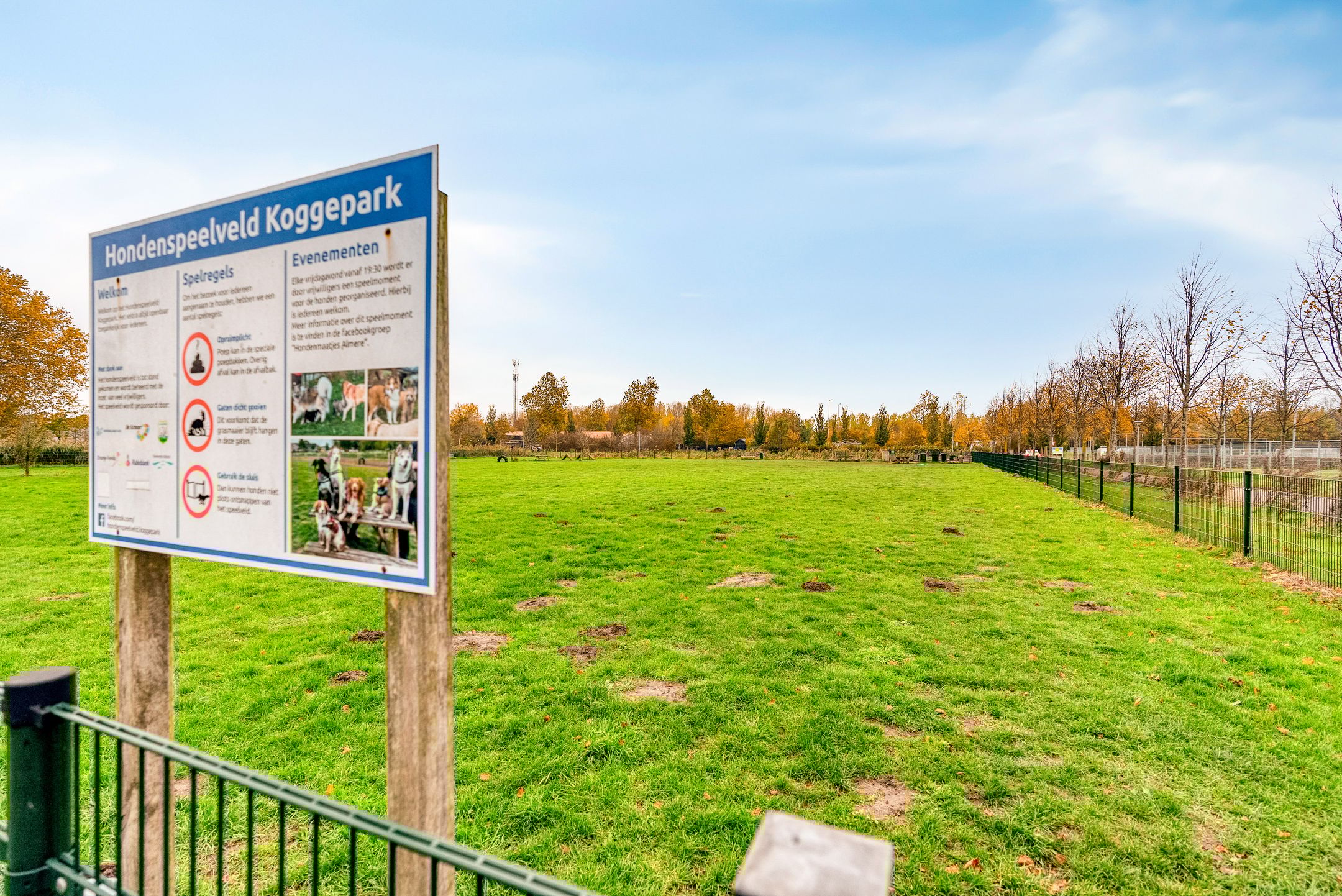 Photo 57 of Bekermosstraat 10