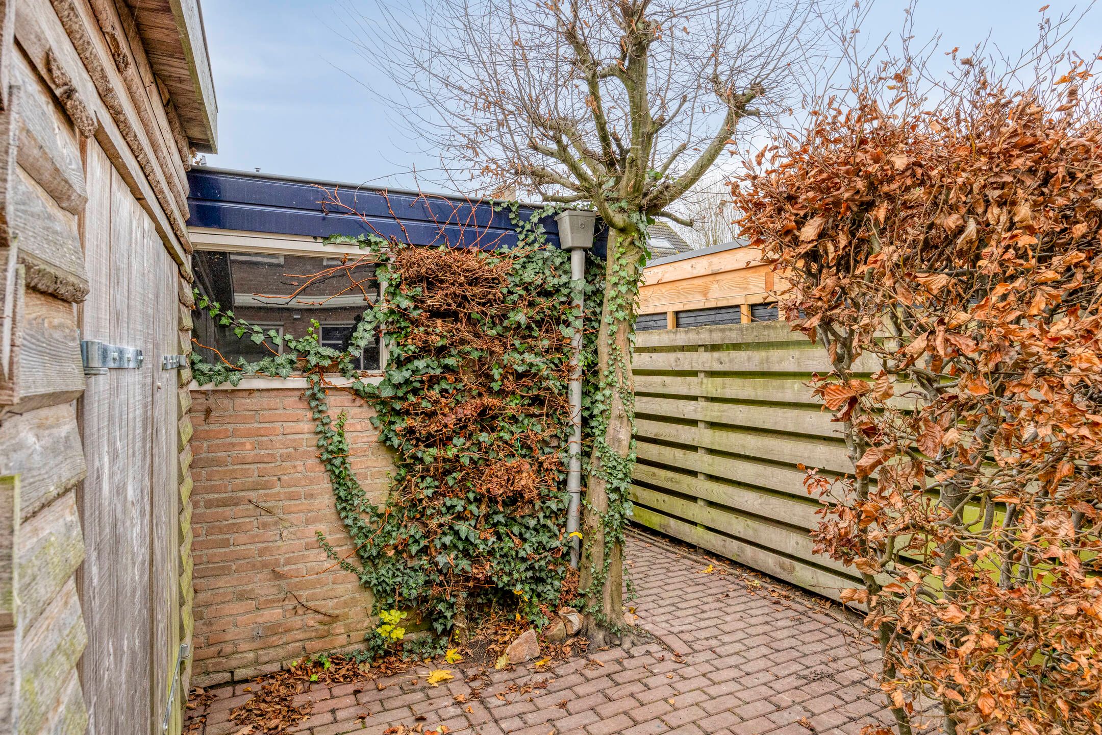 Photo 39 of Zonnekruidstraat 8