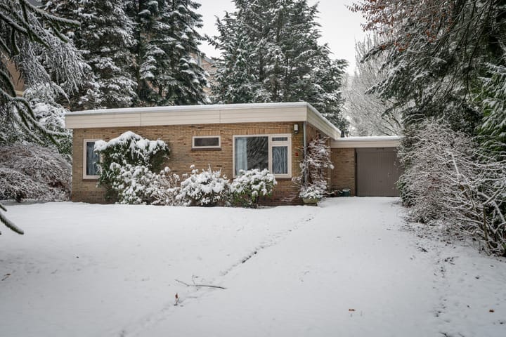 Foto 1 van Rozenhoflaan 3