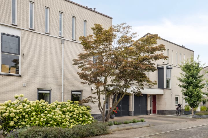 Photo 6 of Winterjan 23